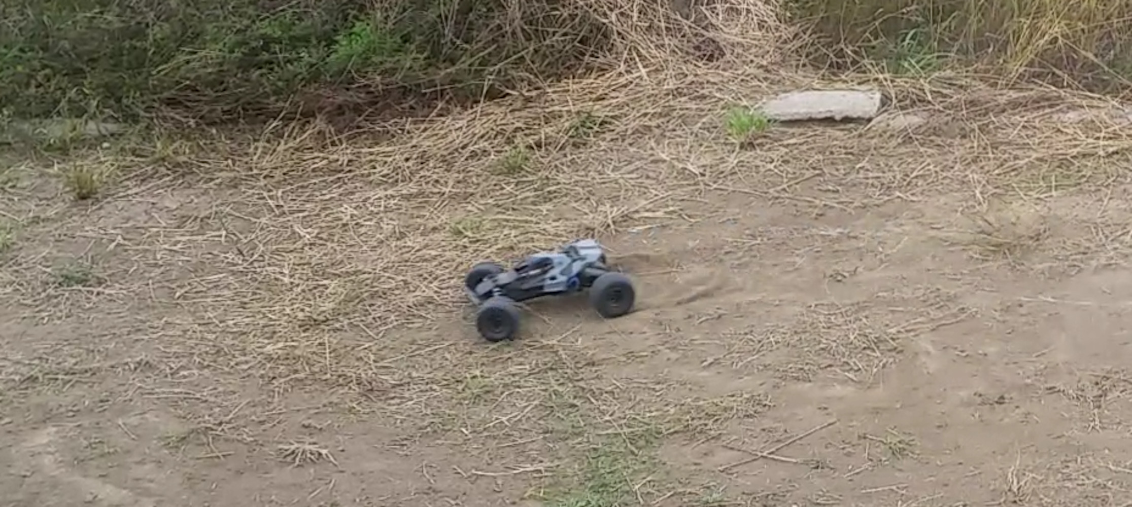 Tamiya Mad Bull